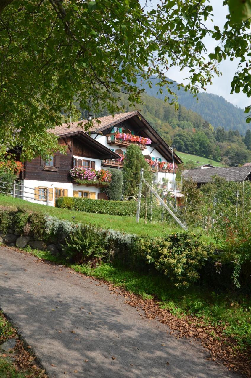 Residence Streitlhof ティローロ エクステリア 写真